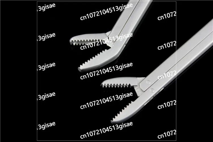 Animal Vocal Cord Excision Forceps, Dental Nucleus Forceps, Orthopedic Instruments, Non-invasive Vocal Cord Scissors