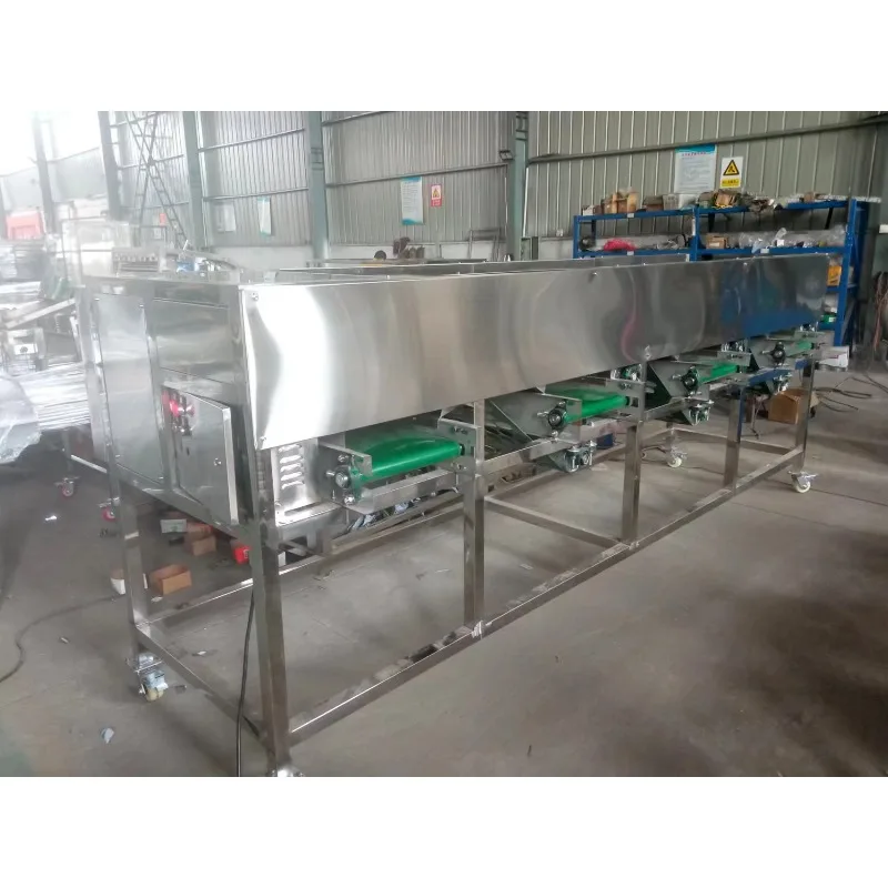 Garlic Grading Machine Onion Grader and Size Sorting Hole Belt Type Garlic Size Grading Machine Customized