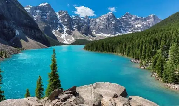 

2PCS/4PCS 109mm RC Tires Wheel 17mm Hex Hub 8585 Tyre for ARRMA ZD Racing EX07 1/7 4WD Brushless RC Racing Car