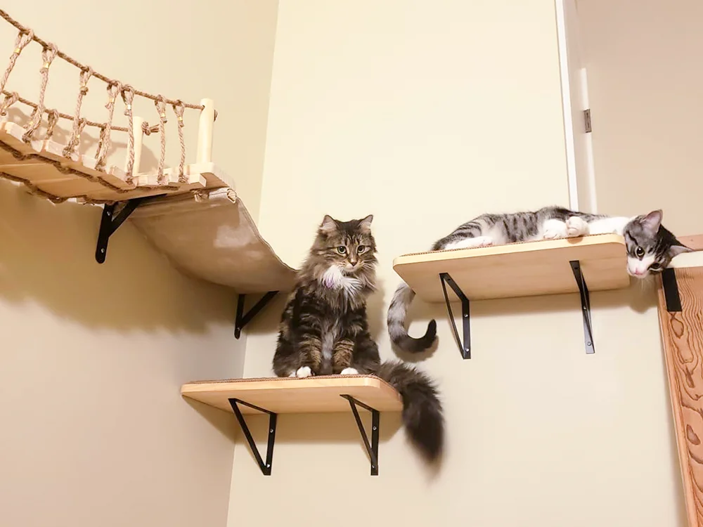 Cat Wall Mounted Climbing Wood Furniture Stairway with Hammock Cats Platform and Scratching Post for Kitten Playing and Rest