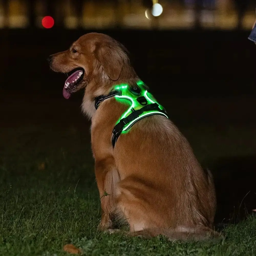 Thumbnail 4 - #26 Best Adjustable Pet Collars to Buy In 2026