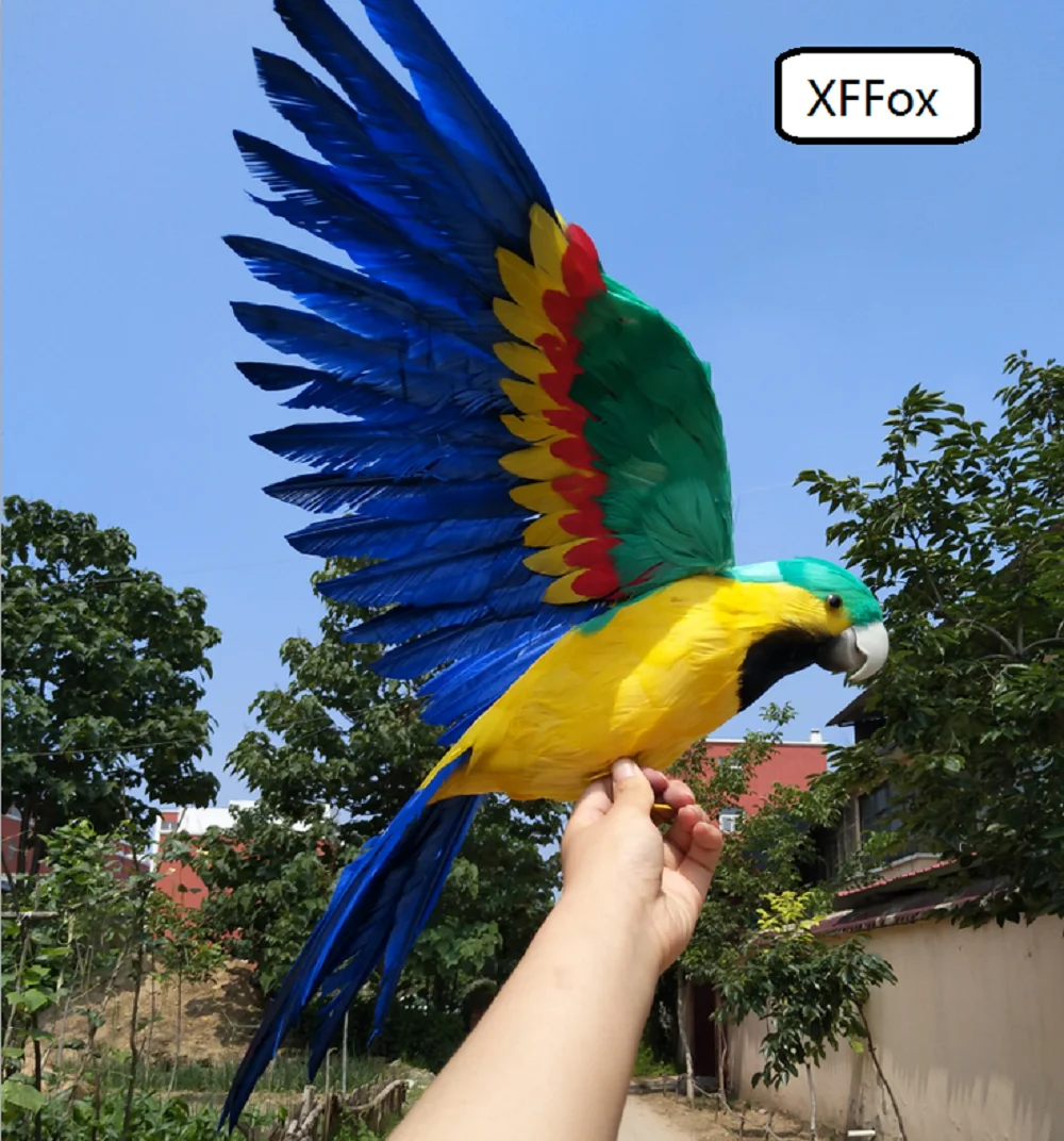 

big real life wings parrot model foam&feather simulation green&drak blue parrot bird gift about 45x60cm xf0257