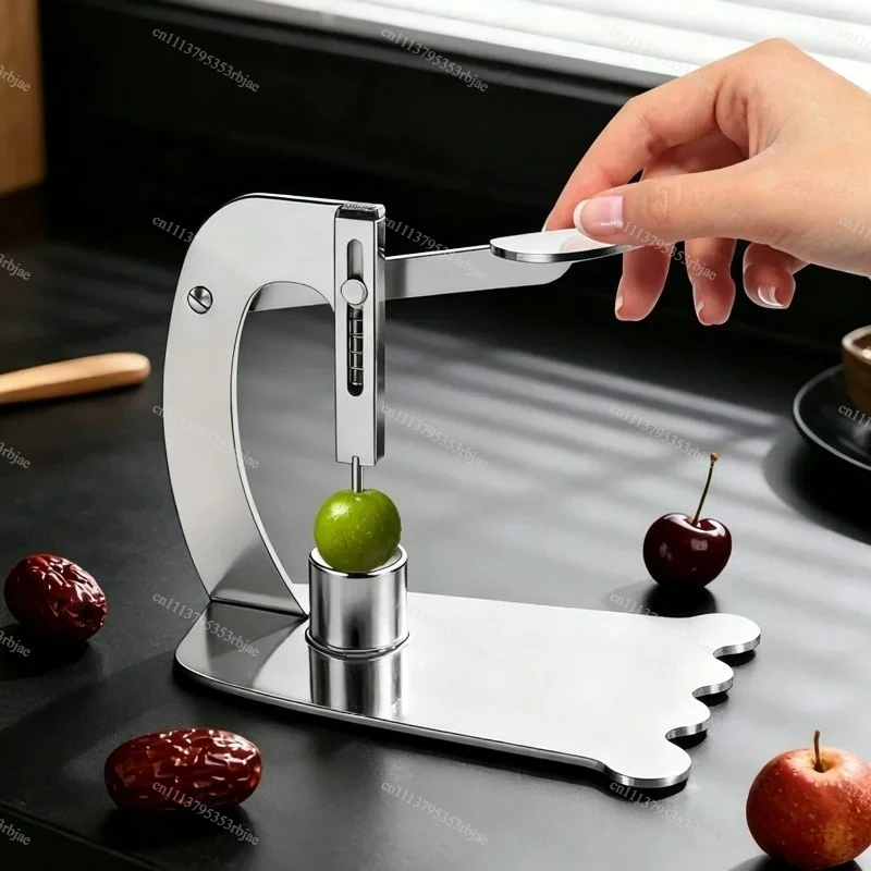 Stainless Steel Fruit Seed Remover, Core Pitter for Jujube Hawthorn Longan Olive Fruit