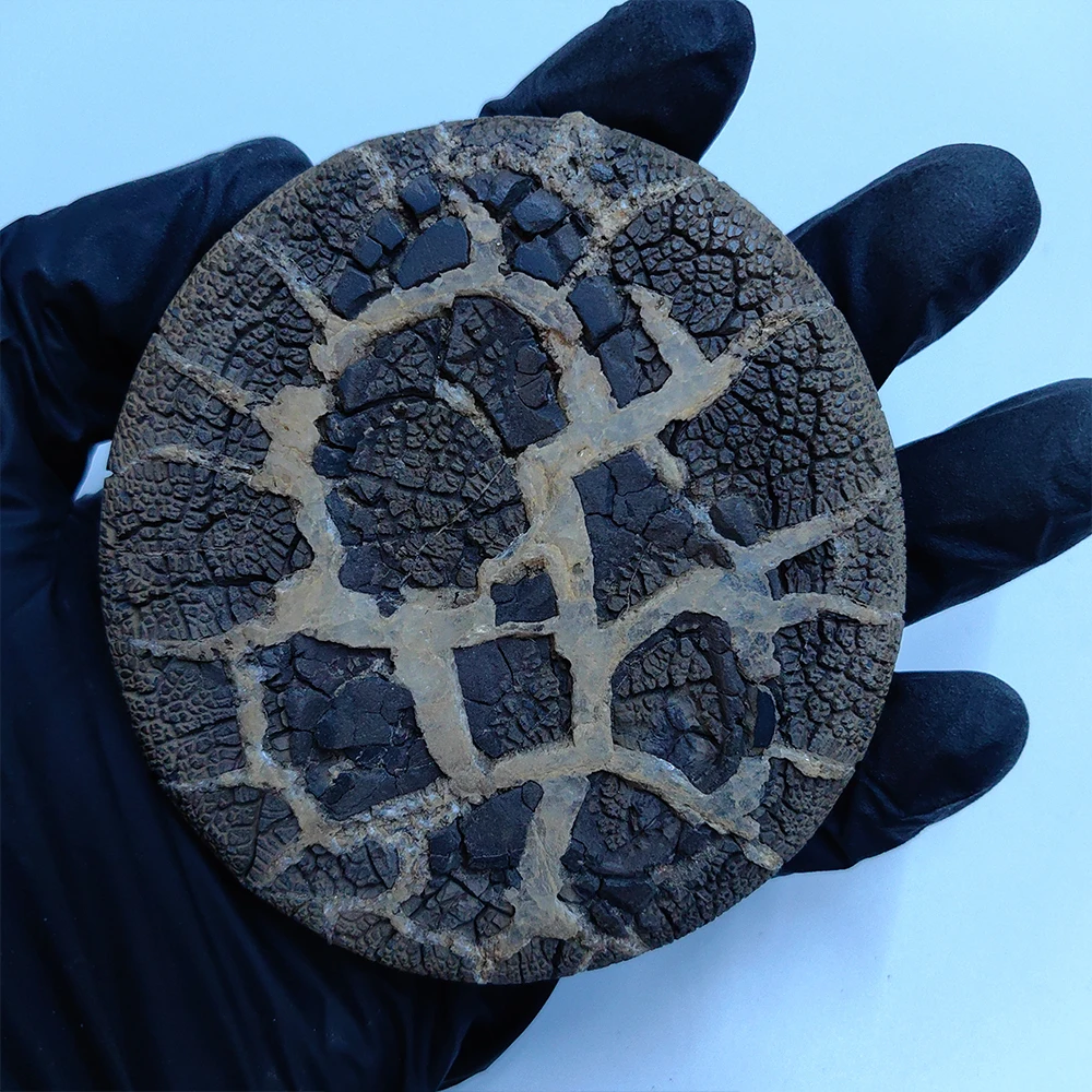 

Suiseki Stone Men Gift Decoration Home Natural Precision Stone Rock Asian Natural Stone Rough Stone Meditation Cadeau Homme