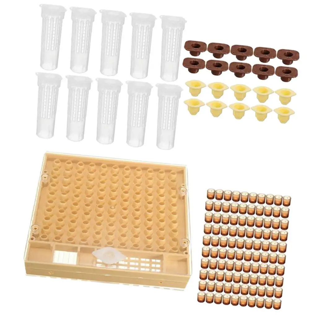 

Полный набор для выращивания пчелиных маток: пластиковые ячейки и держатели для маток, комплект оборудования для пчеловодства