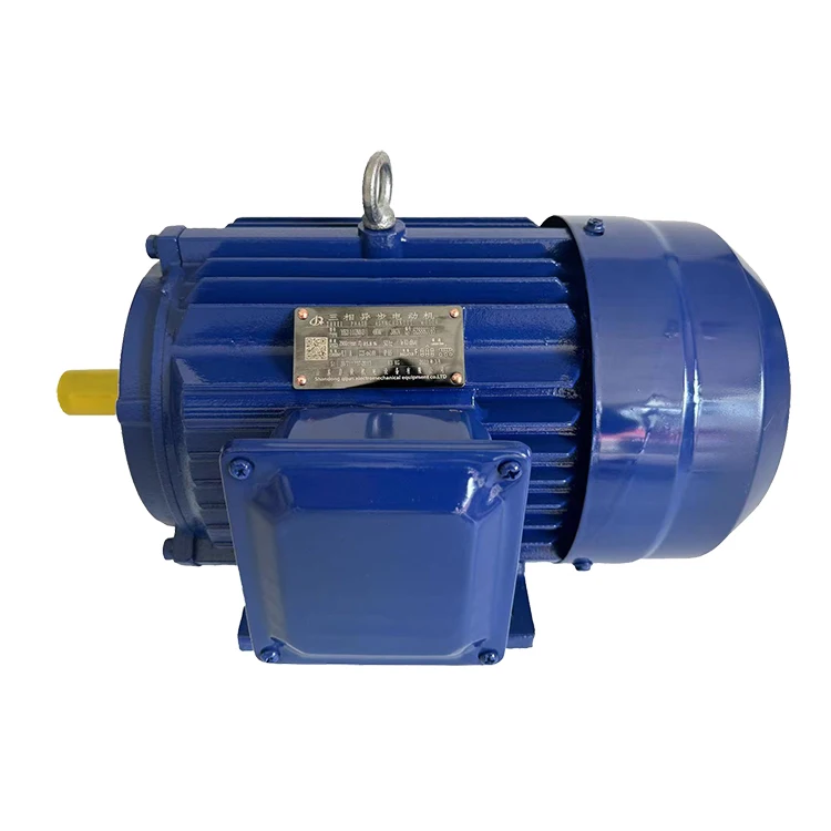 

Three-phase Asynchronous All-copper Motor with Cast Iron Housing