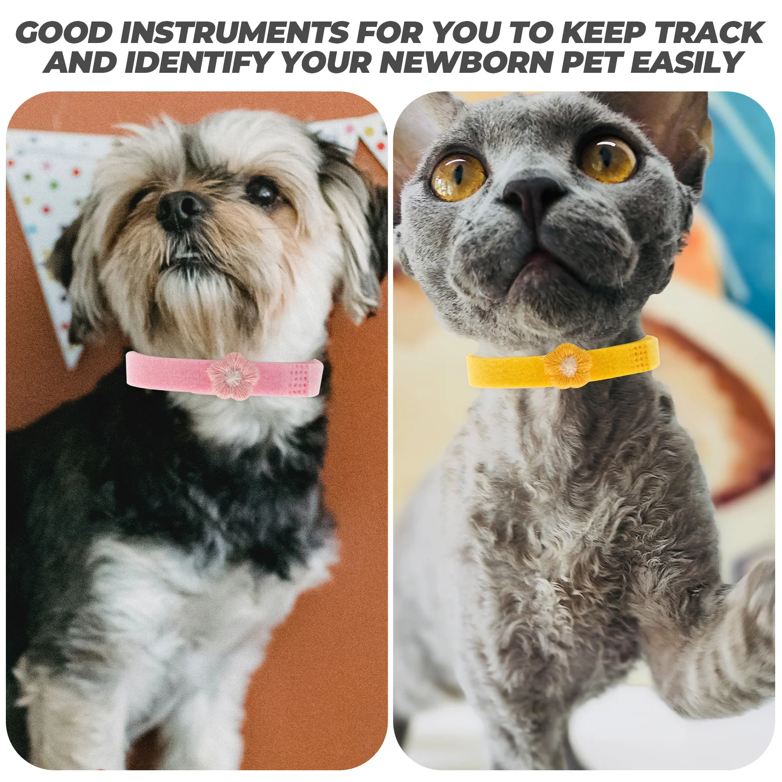 

Adjustable Pet Identification Collars Newborn Whelping Collar Puppy ID Bands Small Puppy Collar Kitten ID Collars for Pet Shops