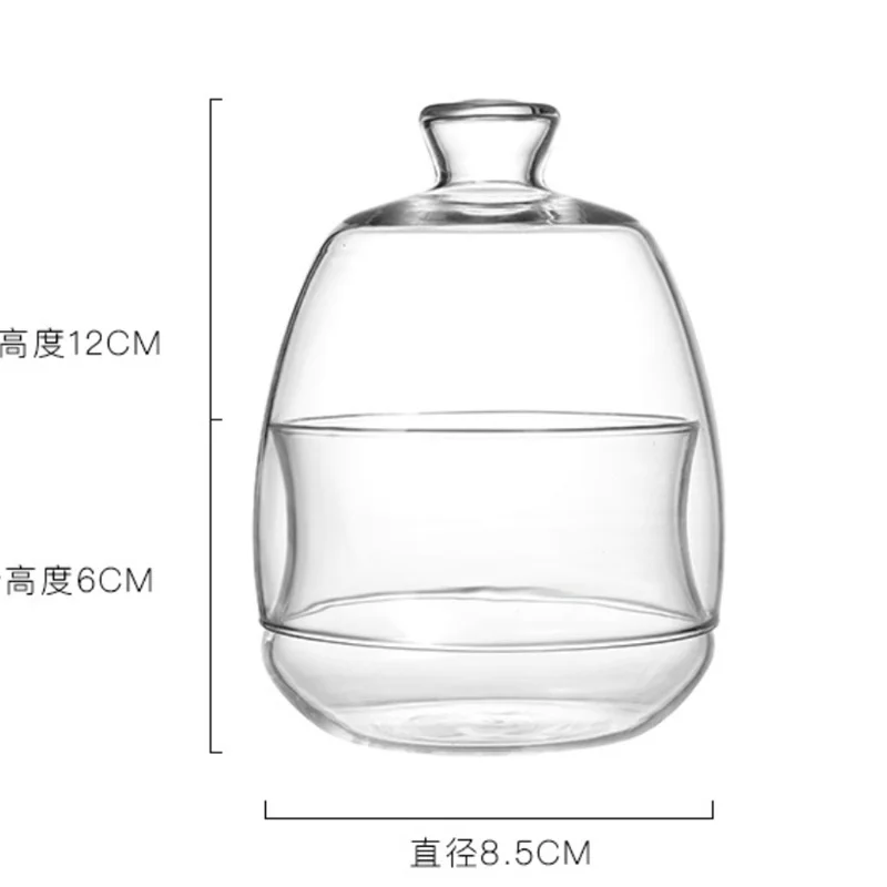 Micro Landscape Ecological Moss Glass Bottles With Lid Glass Vase Green Plant Microecological Glass Terrarium Vegetation Contain