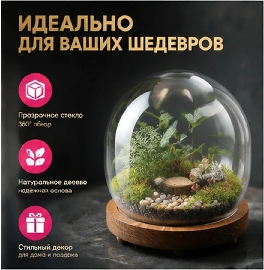 Mini Glass Display Dome with Base for Preserved Flowers Plants DIY Micro Landscape Home Decor