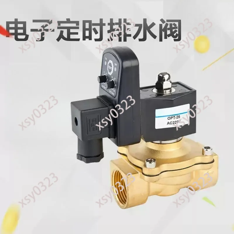 Automatic Timing Drain Valve DN15 DN20 24V 220V Air Compressor Drain Device