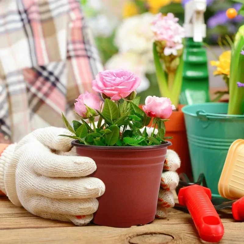 20/100 قطعة أواني الحضانة النباتية المرنة البذر أصيص زرع البلاستيك زهرة حاوية النبات الشتلات قطع زرع تنمو صندوق