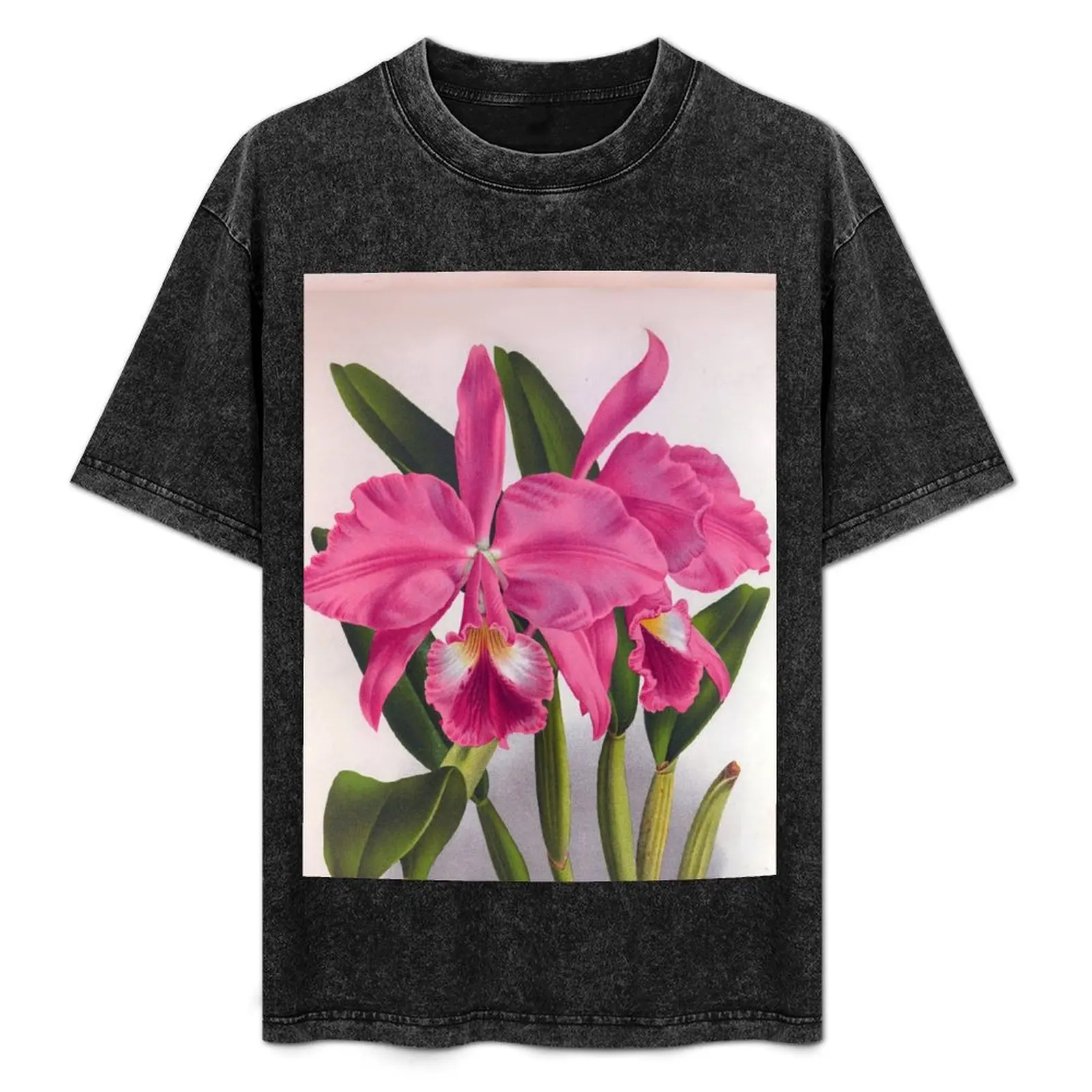 

Cattleya Labiata Vintage Deep Pink Orchids T-Shirt Soft Lightweight Cotton T-Shirt