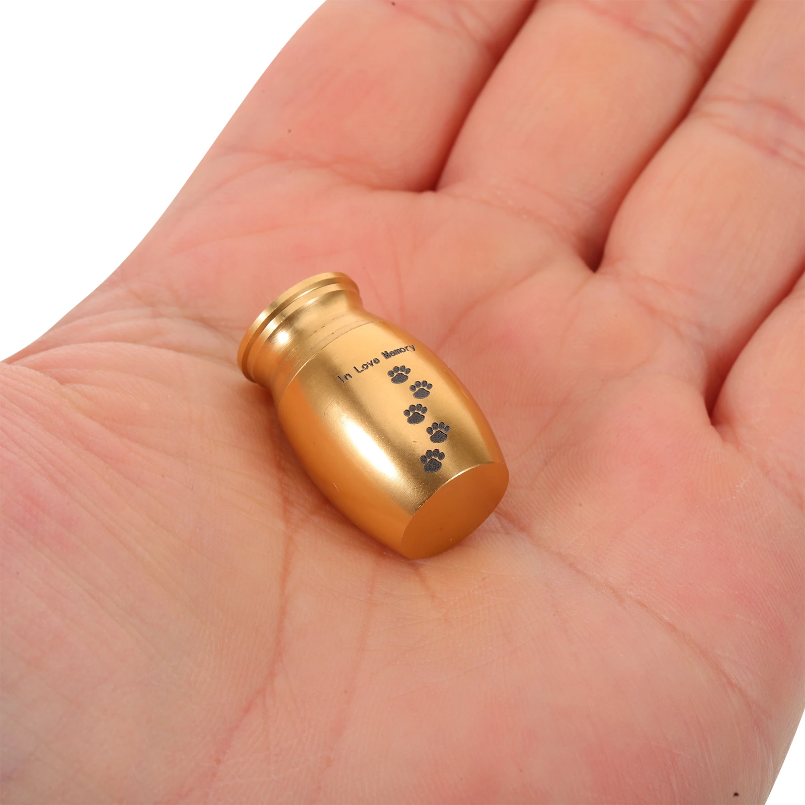 

2Pcs Small Pet Dog Memorial Urns Metal Ashes Holder Paw Print Cremation Box Keepsake Storage Small Dog Loss Accessories