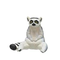Ring-tailed lemur