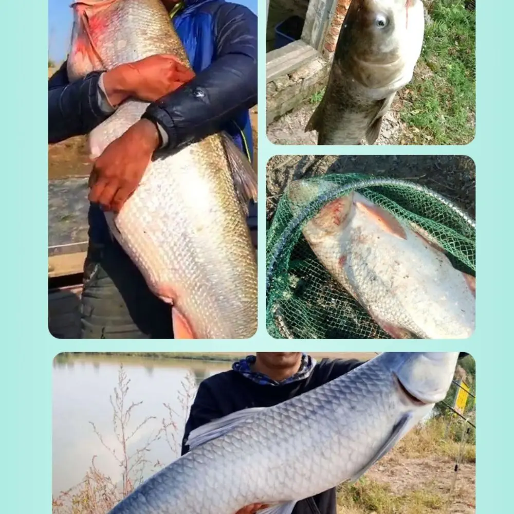 Nano Electronic Fishing float Slip Drift Tube Indicator Light Float Buoy Strike 2 Light Big Fish Bobbers Fishing Night fishing