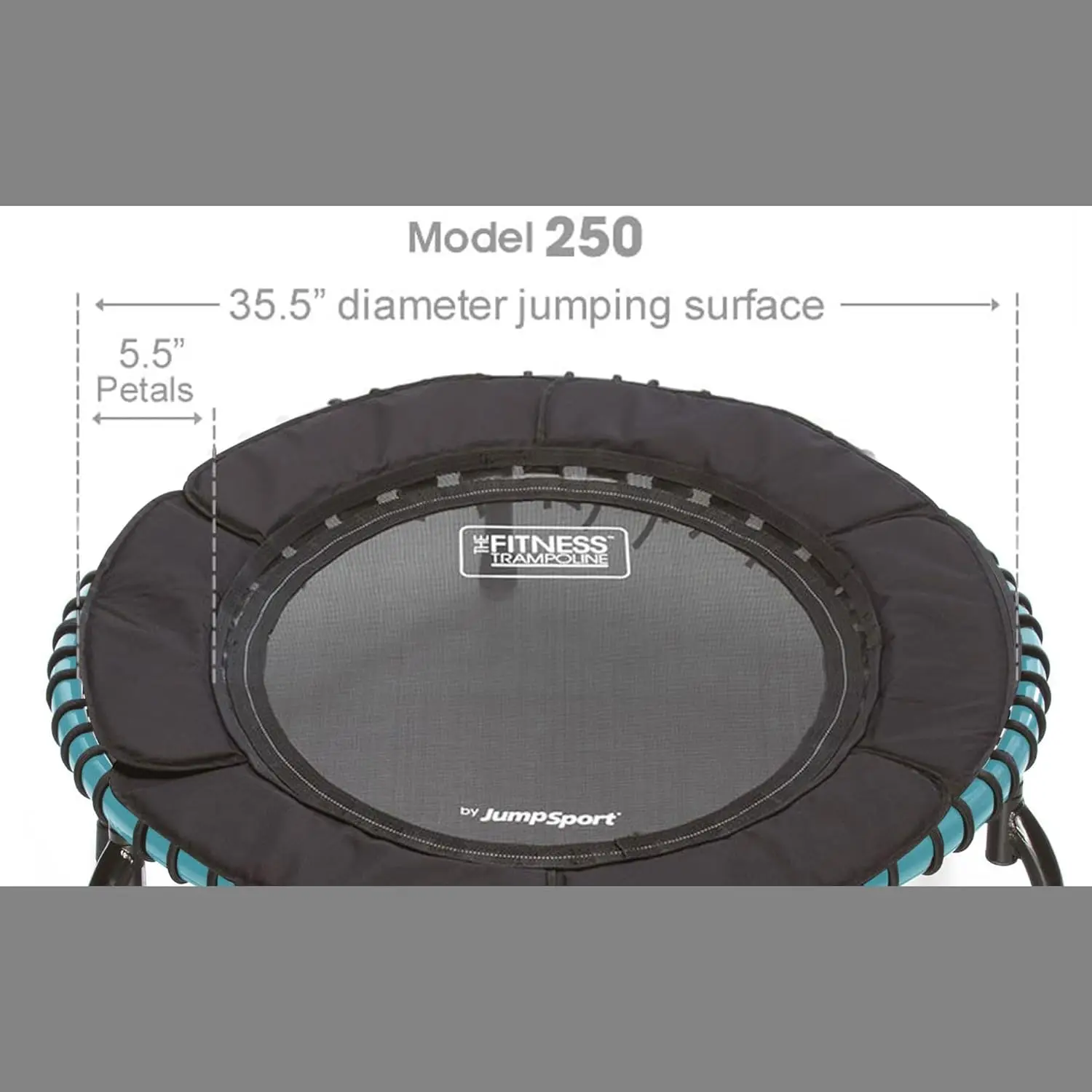 250 in-Home Cardio Fitness Rebounder, 39-inch | Mini Trampoline with Arched-Legged & Videos Included