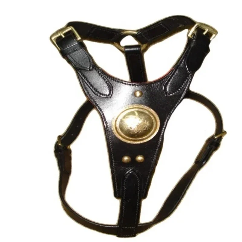 

Premium Leather Dog Wire Harness with Brass Fittings