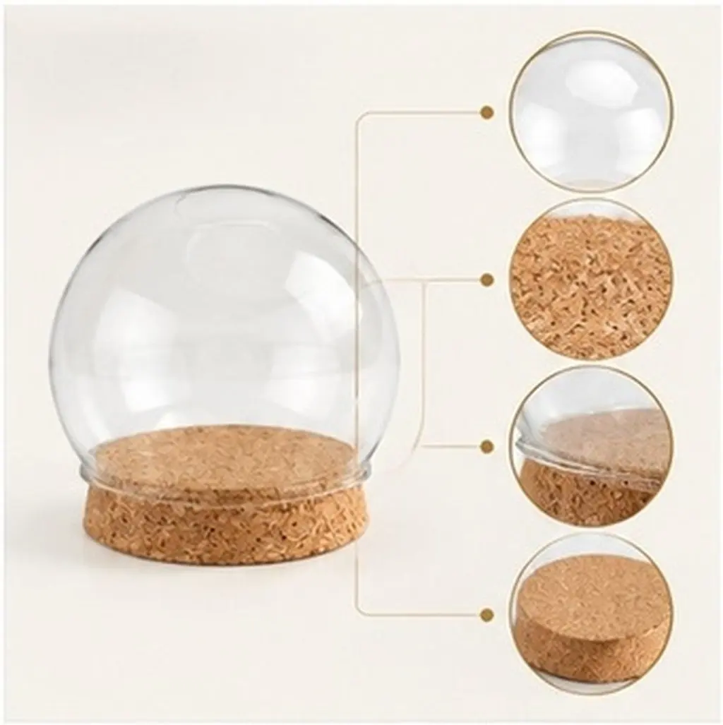 2Pcs Glass Dome Preserved Flower Cover Display Container Micro Landscape Decoration Glass Jar for Keepsakes Home Party