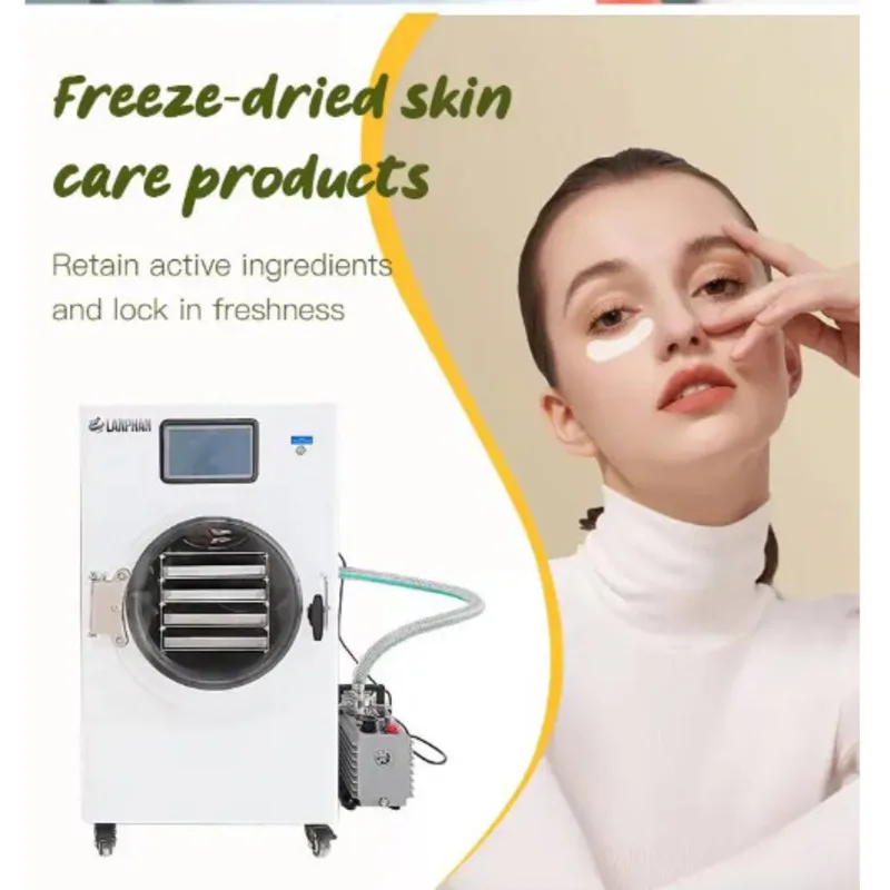 Home Commercial Mushroom Food Meat Oil Free Vacuum Pump Freeze Dryer