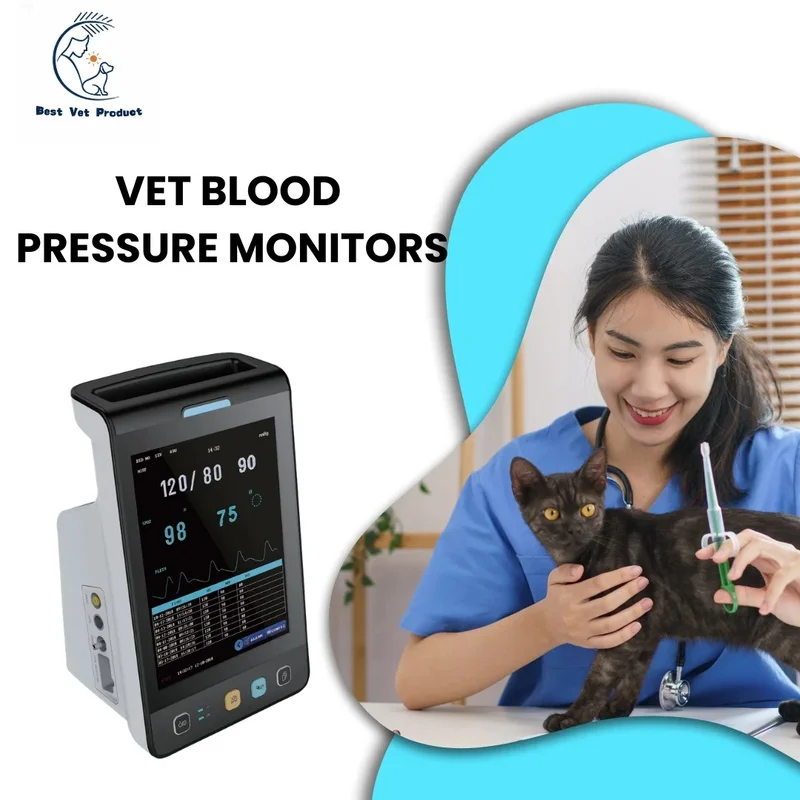 Lorvmed Reusle NIBP Blood Prsure Cuff Compatible with Mindray Patient Monitor Neonate Pediatric Adult Large Adult Siz