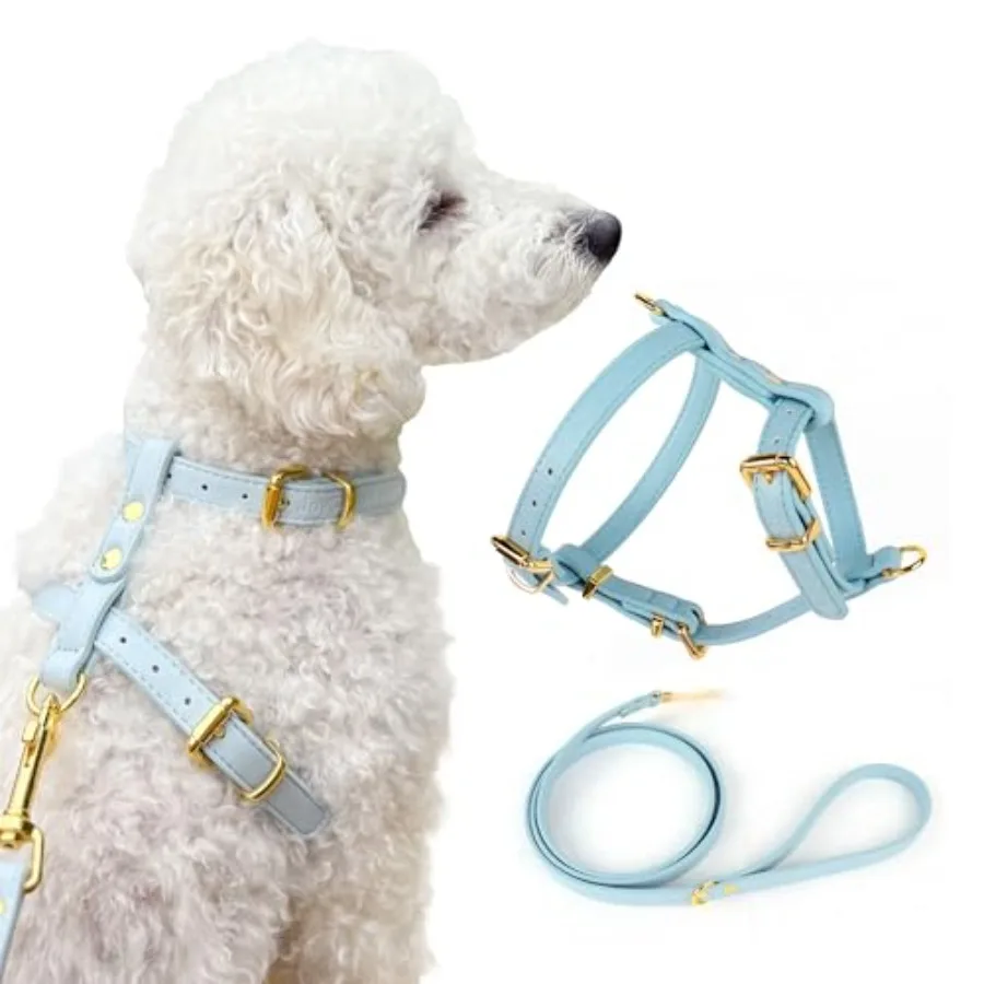 

Роскошный комплект: шлейка и поводок для собак без натяжения, из искусственной кожи, с защитой от побега, комфортная, с фиксацией спереди/сзади, незаменимый аксессуар для питомца