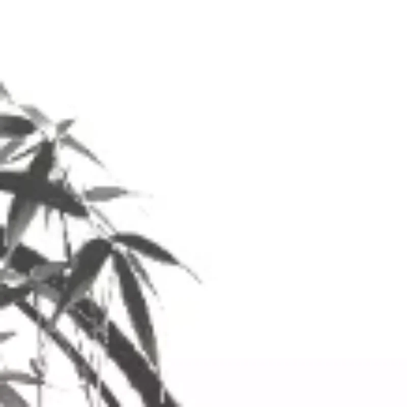 

Universal Anti-Slip Mouse Sticker DIY Sweat-Proof Mouse Grip Tape Wear-Resistant Gaming Mouse Sticker 15*14.8cm