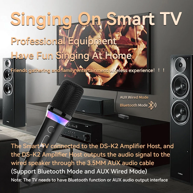VAORLO NEW DS-K2 Karaoke Companion Bluetooth 5.3 Wireless Moving-Coil Microphone RGB Light KTV DSP Mixer System 3.5MM AUX Type-C