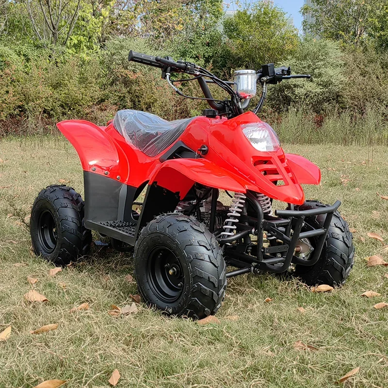 Children 110cc Quad ATV Quad Bicycle 110cc Automatic Mini Quad ATV