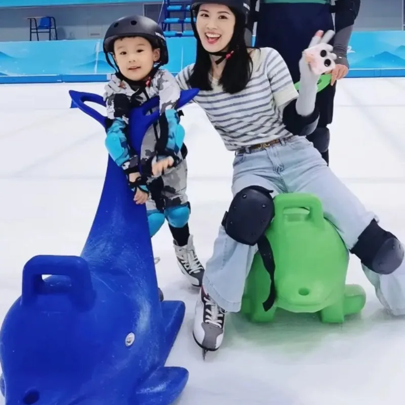 

Помощник по катанию на коньках тематического парка | Толкатель «Атракция дельфинов» | Оренда переоборудования