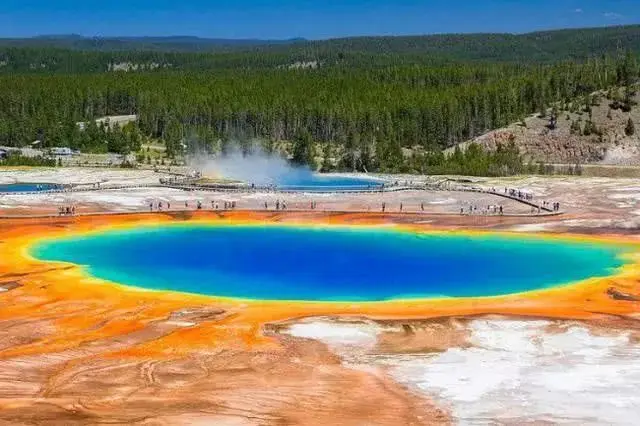 

Center Differential Upgrades Part,Compatible for Slash 4x4 Vxl Slash 4x4, 4x4, 4x4 Unassembled Kit