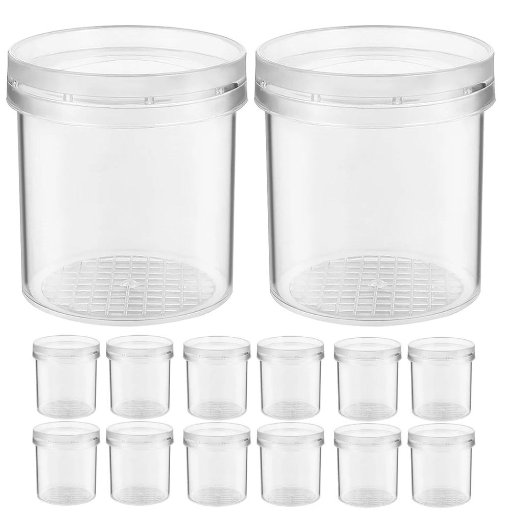 

20pcs Magnifying Boxes For Kids Insect Observation Catcher Viewer Critter Container With Measuring Grids Air Holes Learning Tool