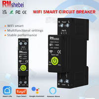 RMshebei tuya smart switch circuit breaker with Leakage Protection 1-63A 1P Wireless electricity meter wifi mcb Smart Life