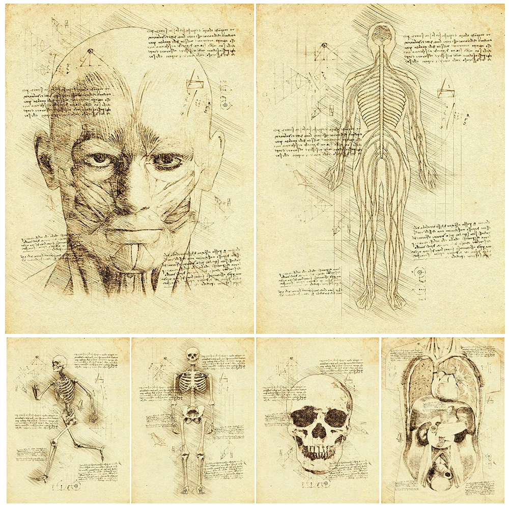

Human Anatomy Organs Abstract Wall Art Skeleton Vintage Art Canvas Painting Human Circulatory System Art Poster Print Decoration