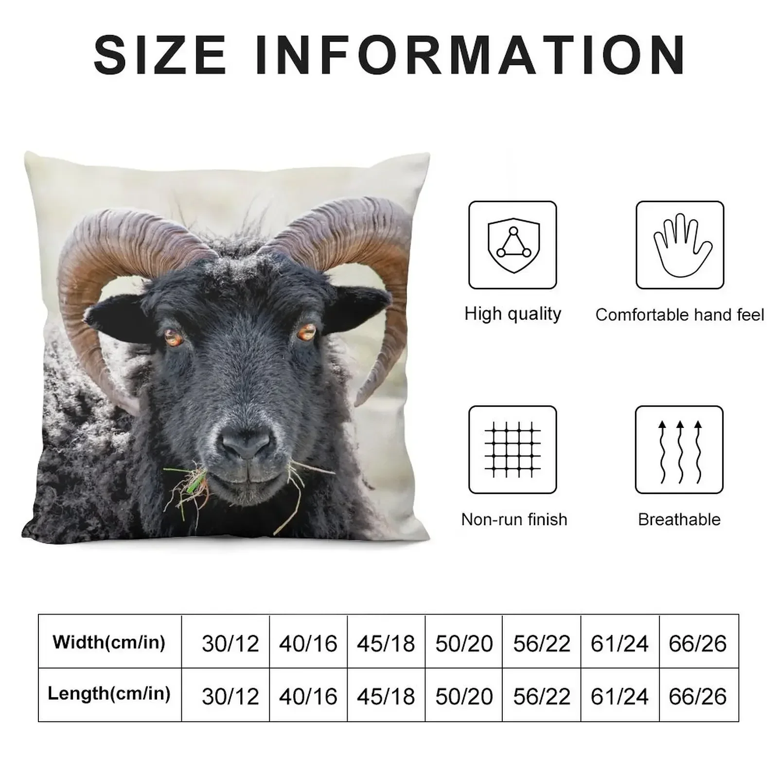 Black Sheep Eye to Eye Contact Hebridean Sheep Throw Pillow Cushion Child Christmas Pillow Cases pillow