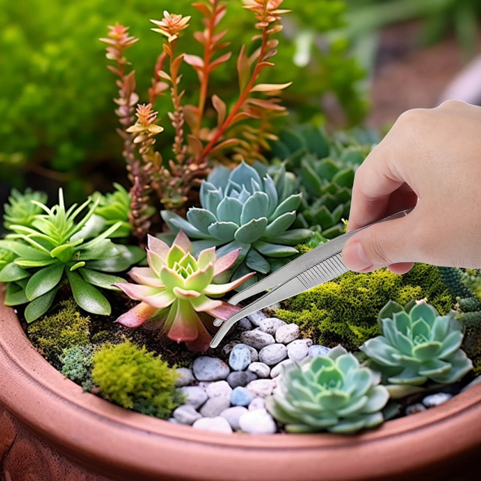 5 قطعة مجموعة ملاقط البستنة الفولاذ المقاوم للصدأ أدوات زراعة صغيرة للعصارة المدمجة حديقة أداة اليد زراعة عملية #2