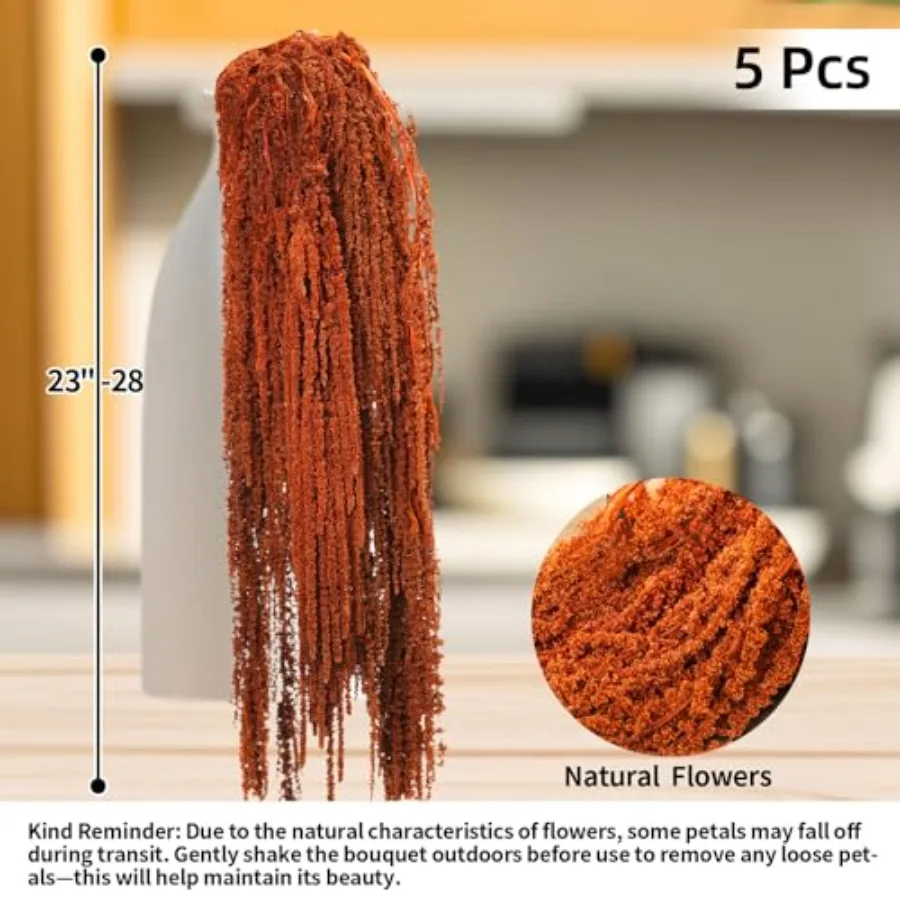 5 قطعة أمارانثوس المجففة زهور معلقة زهرة محفوظة طبيعية لمعرض قوس الزفاف الجدار الشنق عاشق الدموع الأزهار أرا #3