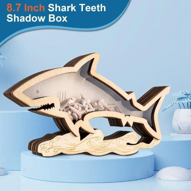 L43A Seashells Display Case with Acrylic Window,Seashells Display Box Decorative Shadows Box for Starfishs Collections