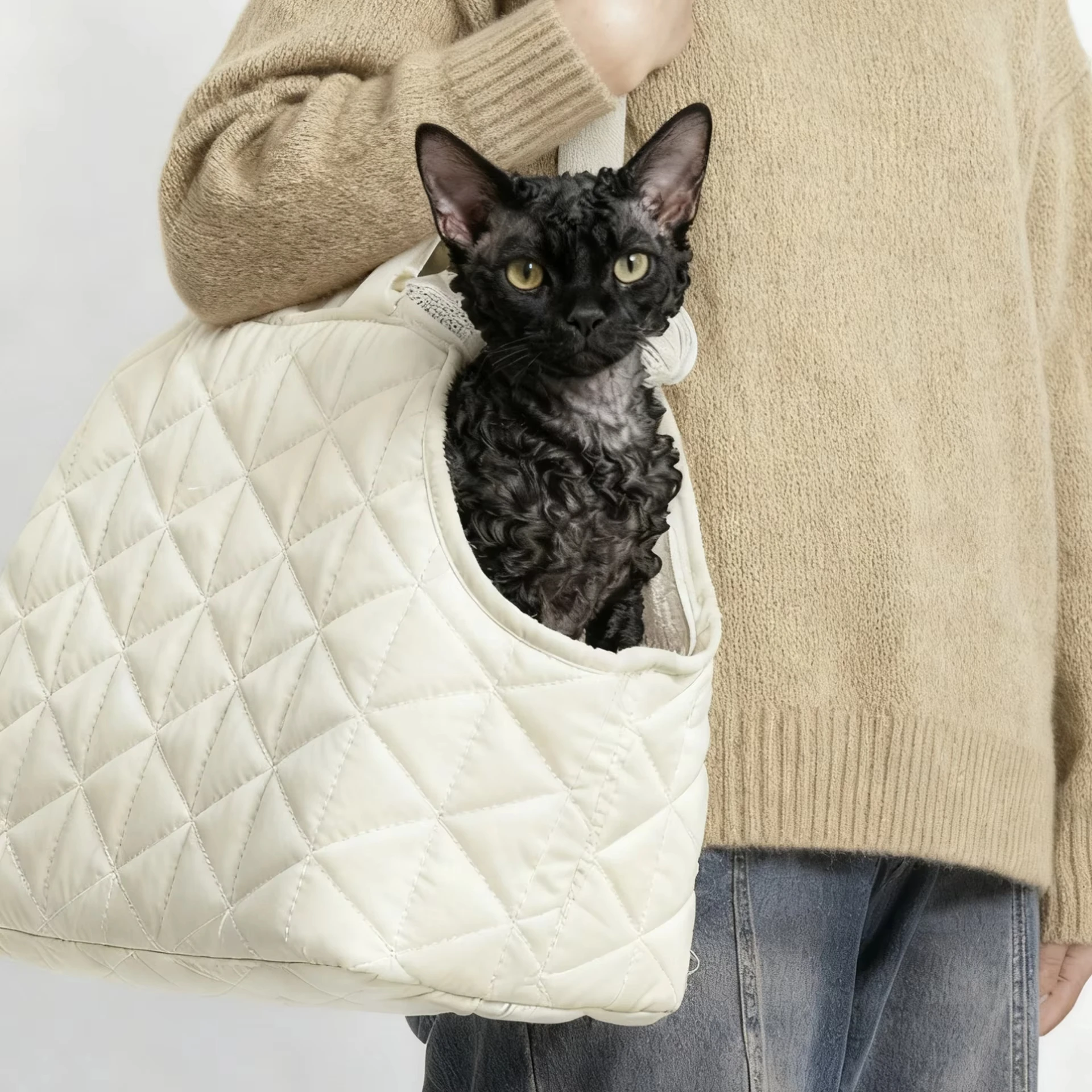 

Outdoor Portable Luxury Thermal Dog Cat Back Bag, One Shoulder Crossbody, Open Headdress, Leather Zipper
