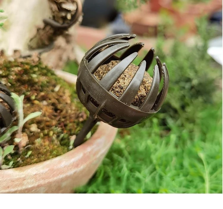 250 جرام سماد ياباني مستورد طويل المفعول بطيئة الإصدار عالي الفعالية لخصوبة سماد بونساي المتقدمة