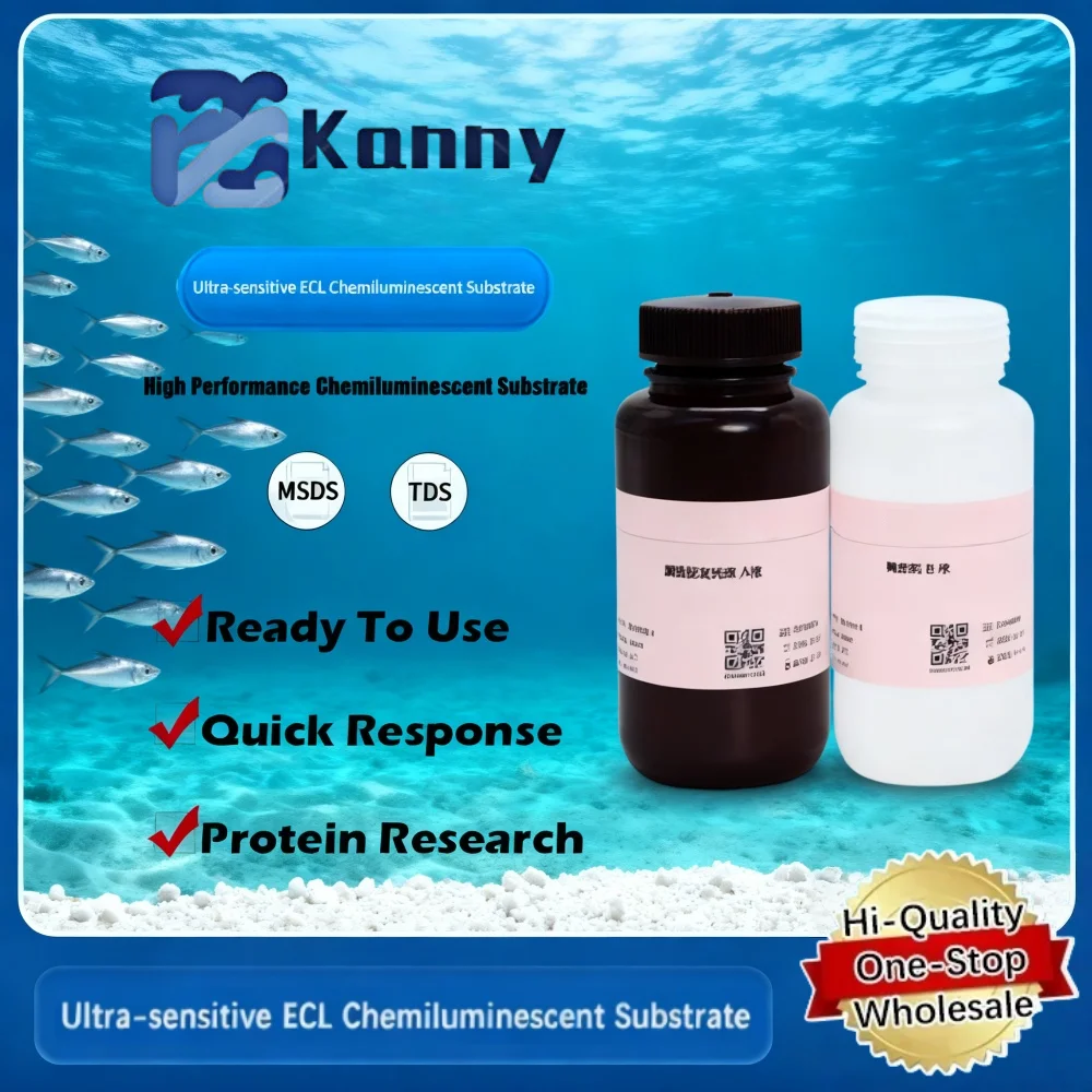 Ultra-Sensitive ECL Chemiluminescent Substrate for Enhanced Detection in Western Blot Protein Research Original Product