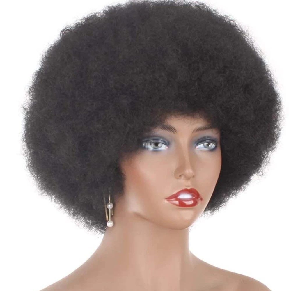 Lolely Dream Human Hair Afro Kinky Curly Pixie Wig for Black Women | 8 Inch Fluffy Natural Style, Machine Made Easy Install