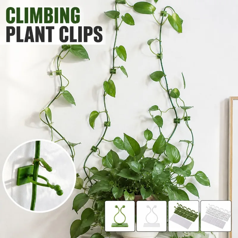 Wall Climbing Plant Clip Holder for Pothos, Self-Adhesive No-Drill Vine Hook, Cable Management Organizer for Home, Reusable