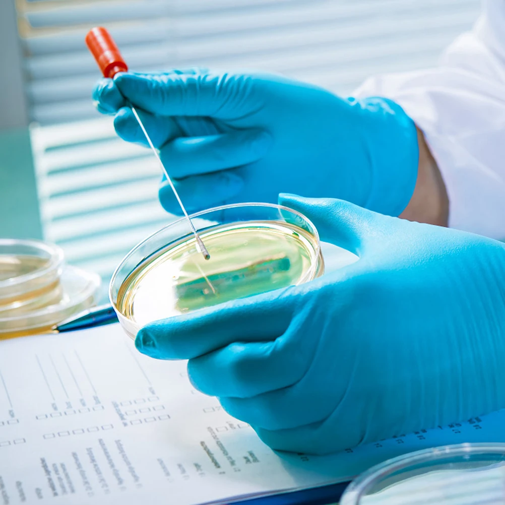 

10Pcs Clear Plastic Petri Dish Lids Tissue Culture Plate Lab Experiments Supplies Petri Dish Agar Plates Tissue Culture Plate