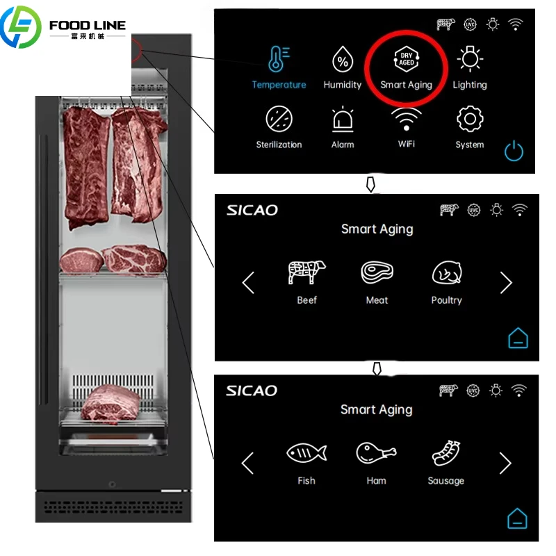 Customize New AI One-click Maturation Dri Dry Ager Fridge Display Deep Freezer Aged Aging Refrigerator Kichen Equipment Cabinet