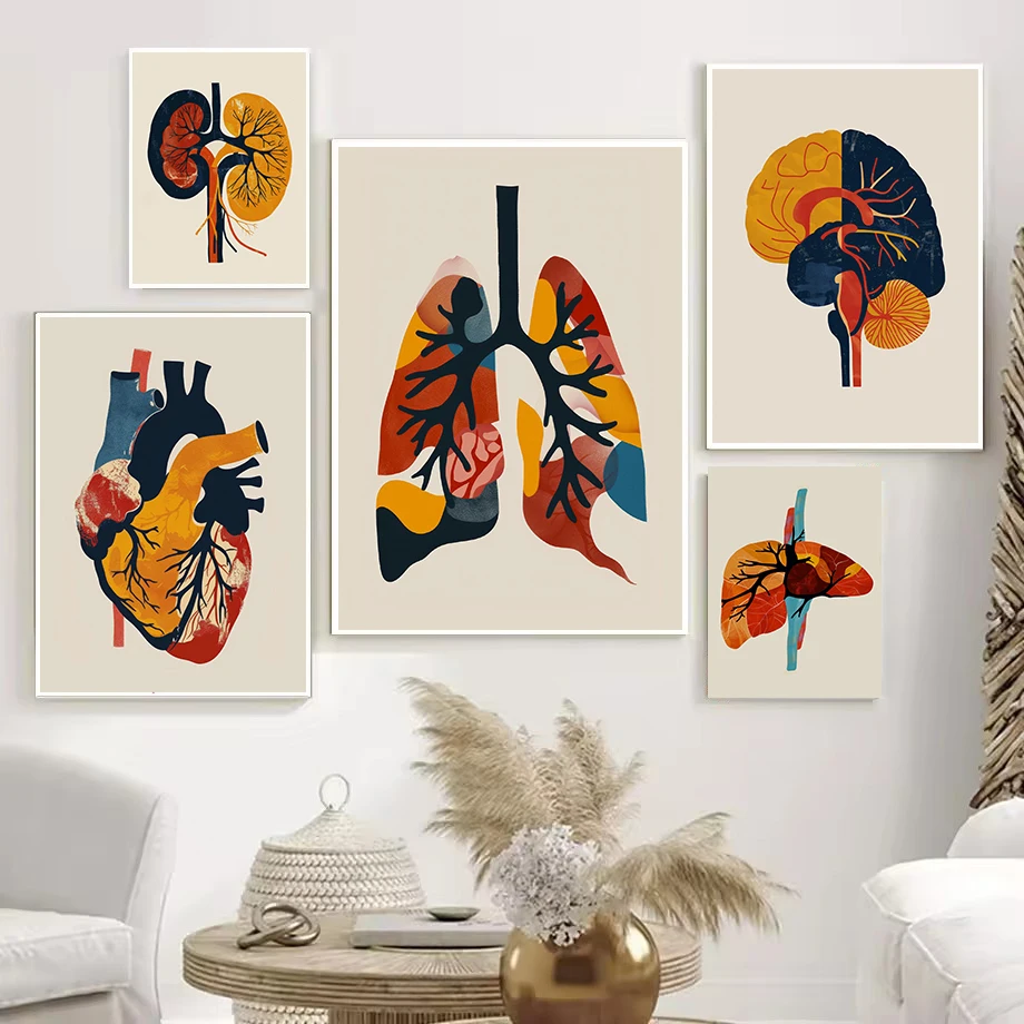 (No frame)Colorful Human Anatomy Art, Medical Science Brain Liver Heart Biology Poster Canvas Painting Wall Pictures Home Int