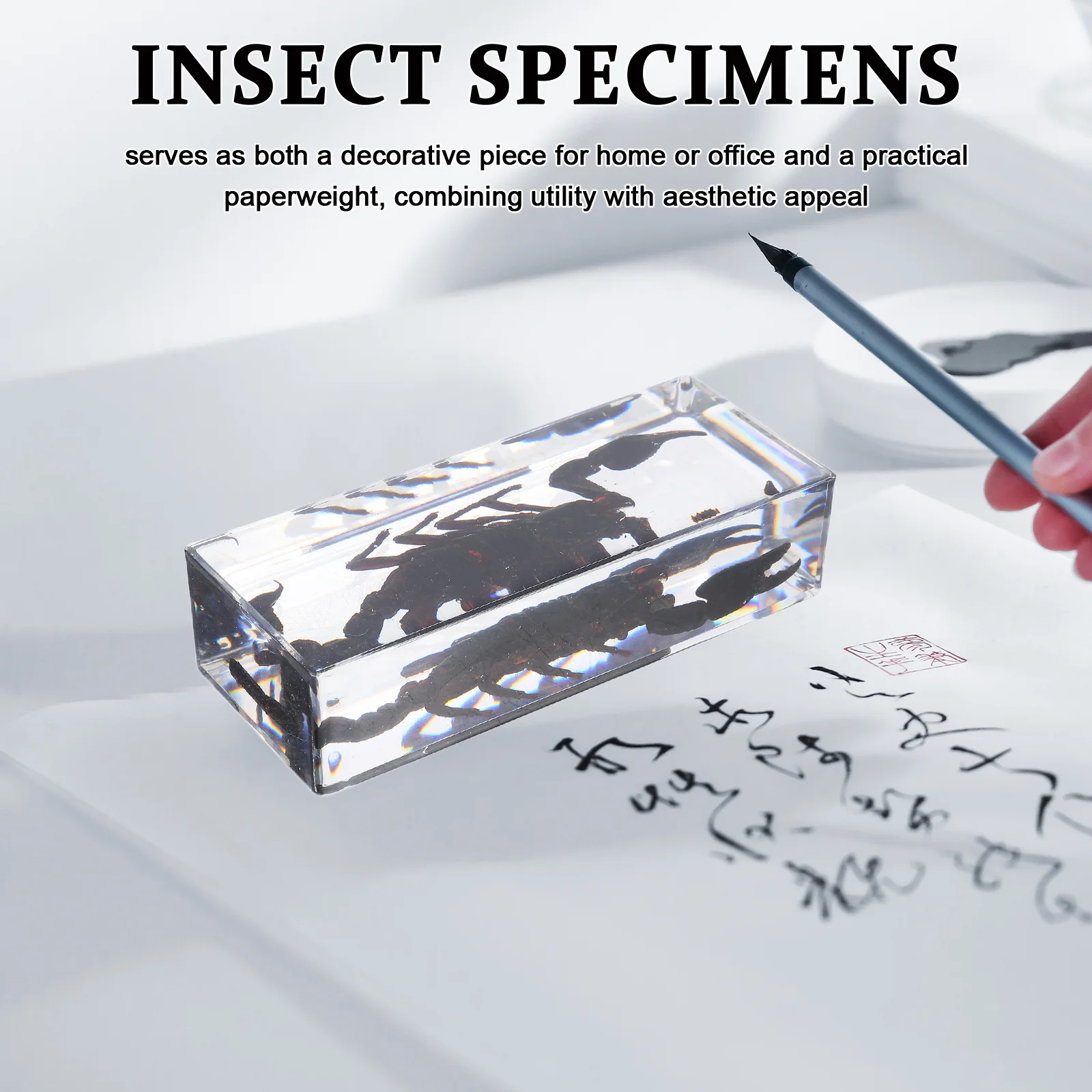 Preserved Insect Specimens Scorpion Paperweight Transparent Resin Multifunctional Home Office Decor Unique Gift Educational