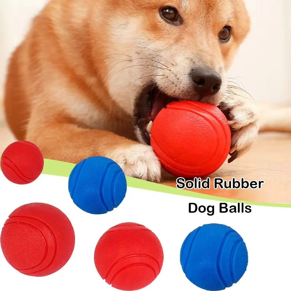 Durable Solid Rubber Balls Bite Resistant Indestructible Dog Chew Toys Pet Dog Toys Dog Molar Ball Pet