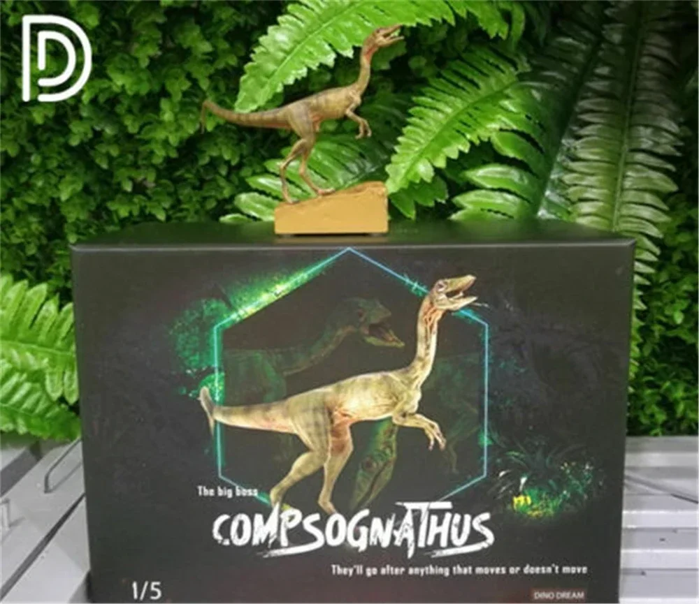 DINO DREAM 1:5 Female Compsognathus Coelophysidae Dinosaur Model Collection Animal Adult Gift Scene Decoration view 4