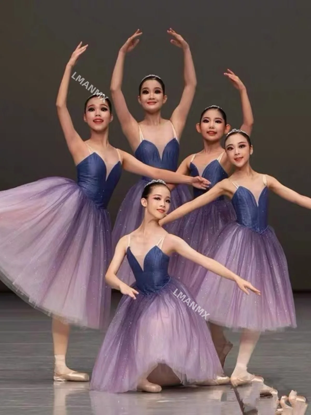 Professional Adult Ballet Tutu Dress Purple Dance Performance Long Veil Competition Costumes Women Girl Sequin Ballet Skirt