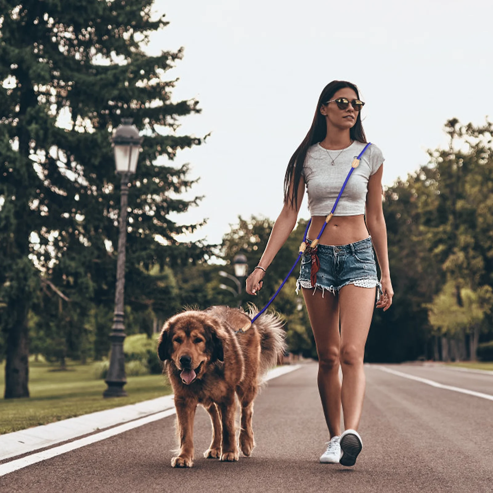 210cm Mehrzweck mittelgroße Hund Doppel leine Leinen verstellbar und Nylon Luxus Freis prec heinrich tung kleine Hunde leine für 2 Hunde